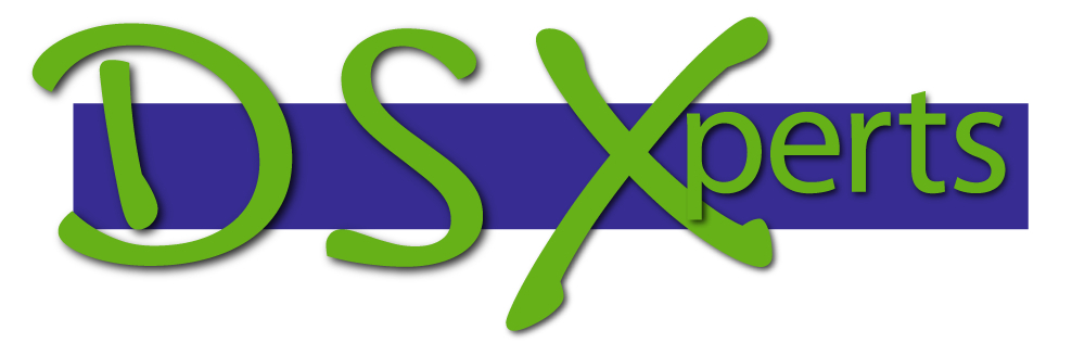 DS-Xperts - eine Marke der upunu DSX Consulting Limited